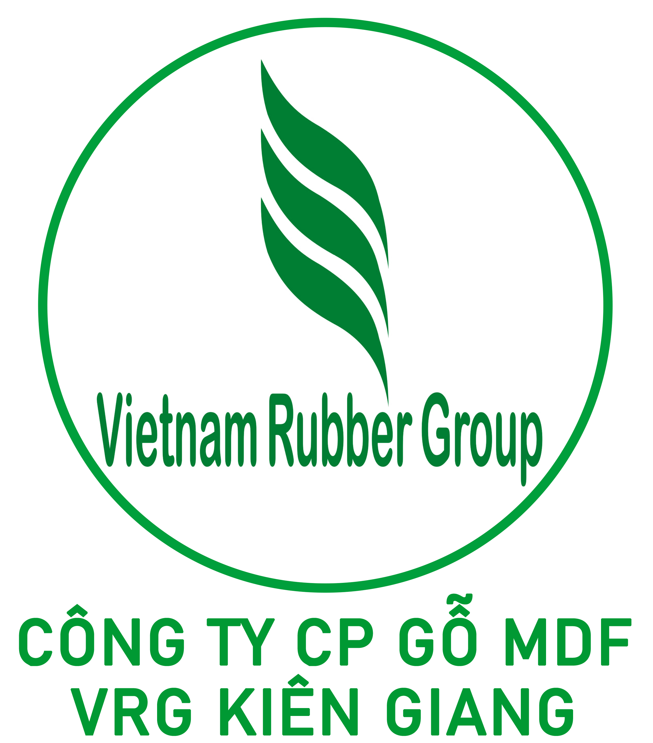 CÔNG TY CỔ PHẦN GỖ MDF VRG KIÊN GIANG